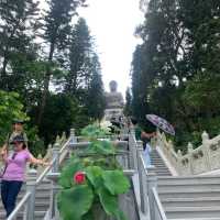 大佛終於有自己的蓮花園🤣