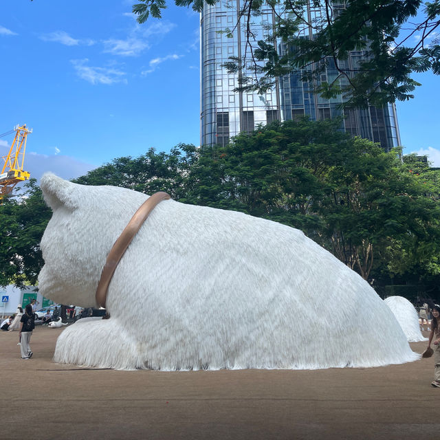 「深圳灣萬象城泰珍薈」：美食口碑好，服務一流