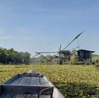 An eye-opening boat trip @ Thale Noi