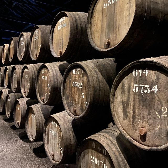 전통과 역사가 깊은 포르투 와인의 제조 공정을 볼 수 있는 곳, 테일러스 와이너리 투어🍷
