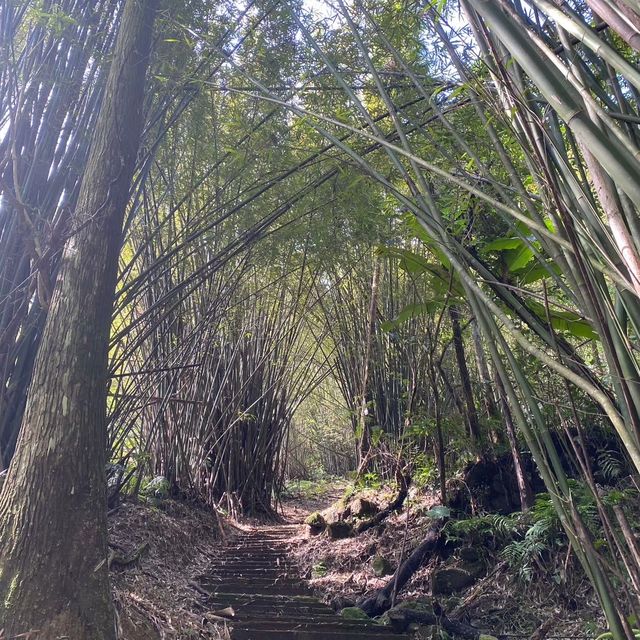 新北 三貂嶺古道一日遊