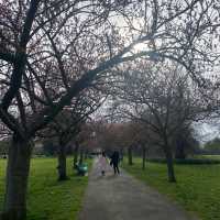倫敦格林威治公園，歷史悠久的文化勝地