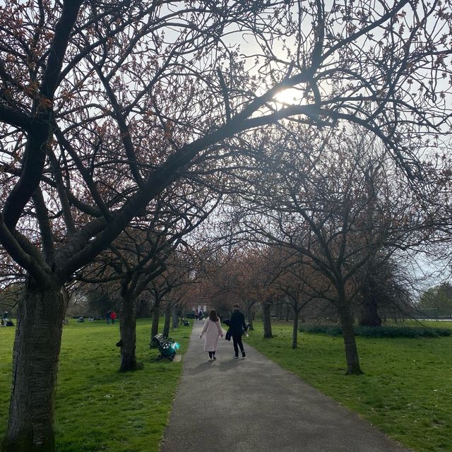 倫敦格林威治公園，歷史悠久的文化勝地