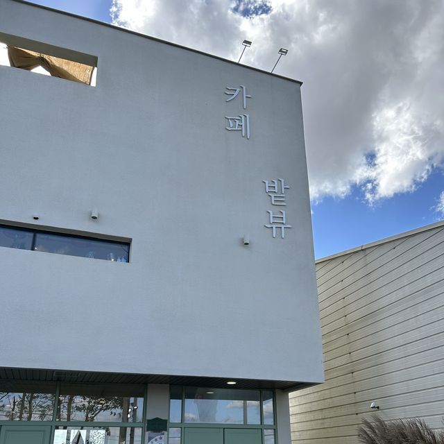 전라남도 영광 배나무밭이 예쁜 카페 밭뷰 🍐