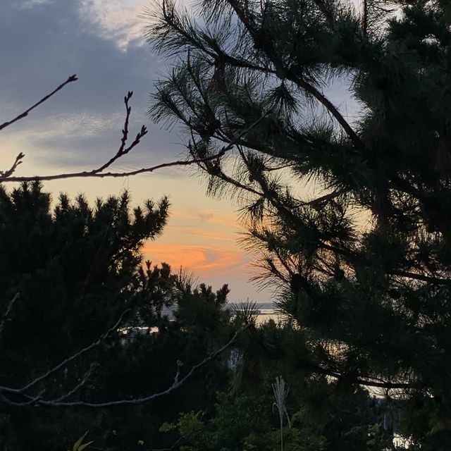 제주공항 근처 노을구경 “도두봉”☀️