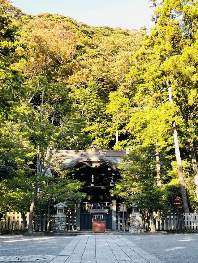 【神奈川県/白旗神社】漆黒の趣ある社殿