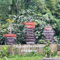 บ้านห้วยโทน จ.น่าน 🌳🌿