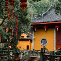 法光寺 🏯靈性與寧靜🙏✨