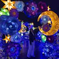 The Grand Illumination in Izu (7th Season) 