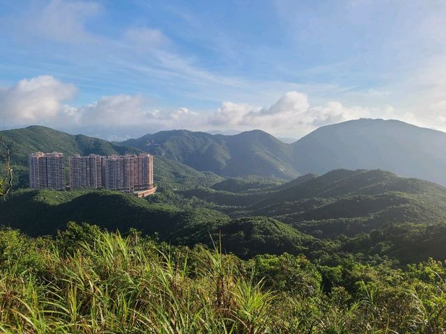 【港島地獄組合😈~紫羅蘭🌸+孖崗山⛰️】