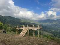 ลานกางเต้นท์ ยาป่ายาใจ 🏕️🌳@ดอยแหลม