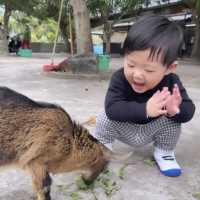 元朗錦田🫶🏻 圍爐煮茶