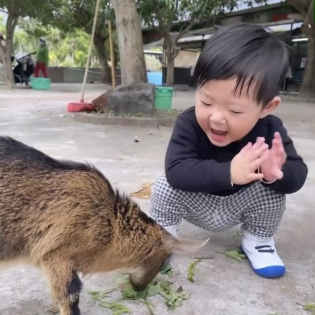 元朗錦田🫶🏻 圍爐煮茶