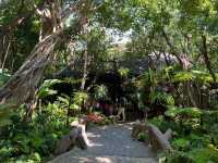 ร้านอร่อย บรรยากาศเหมือนทานในป่า ร่มรื่นมาก