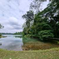 Hiking at Macritchie Nature Trail