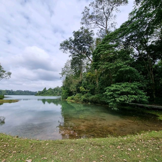 Hiking at Macritchie Nature Trail
