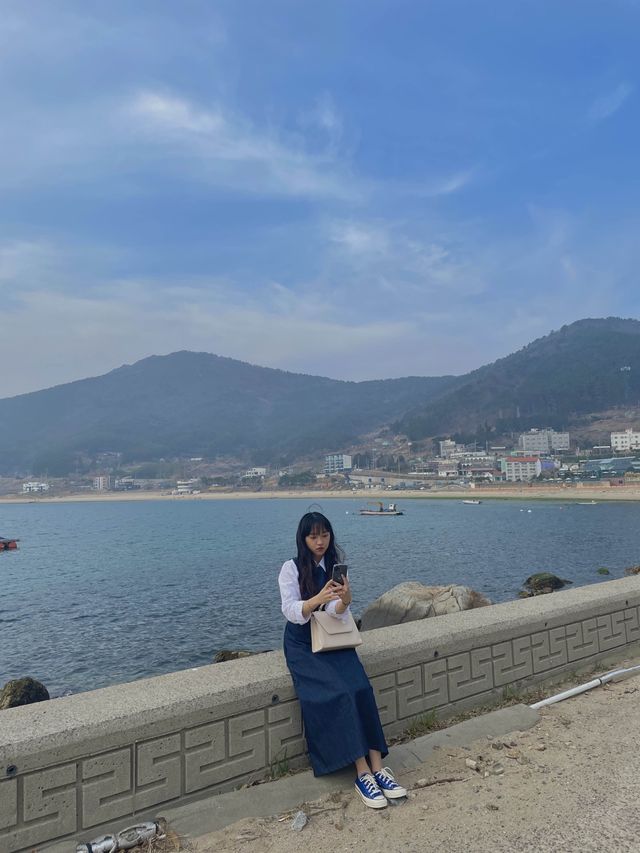 [거제] 구조라해수욕장 수선화 구경하러 고고