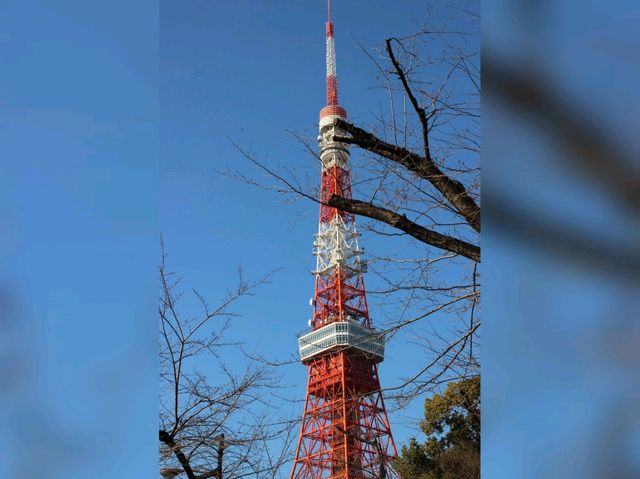 5個推介日本東京代表性景點🇯🇵