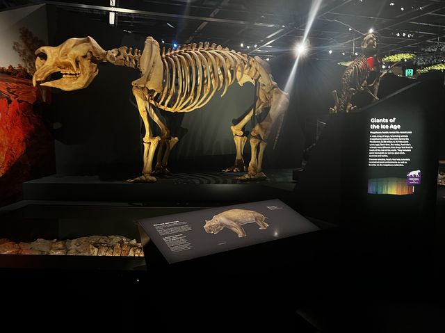 My Ancestors' 🤩🥰 Museum of my vibe🫢😝