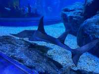 SEA LIFE Bangkok Ocean World