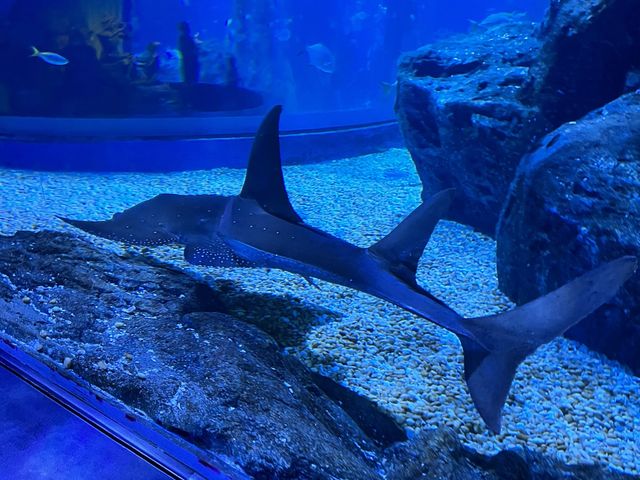 SEA LIFE Bangkok Ocean World