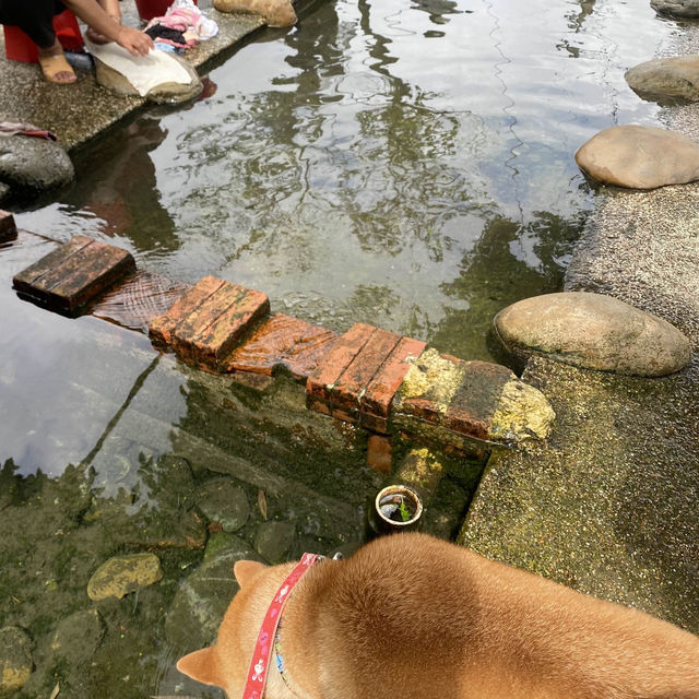 大火房泉水浣衣池🤩好乾淨的泉水