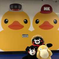 Yellow Ducks are back to Hong Kong 🐤🐤