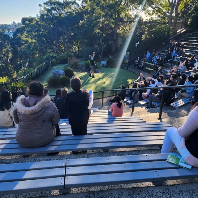 A day in taronga Zoo, starting point: back entrance.