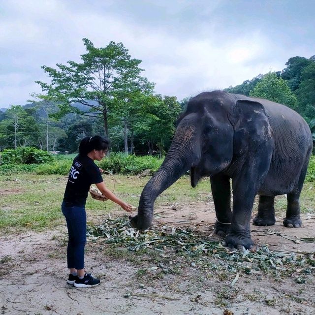 มุมสบาย ... เกาะช้าง ที่มีช้าง 