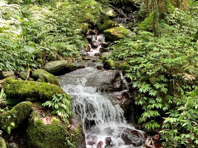 宜蘭礁溪聖母登山步道｜一睹抹茶山的風采，超級美