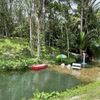 Lansaka sheep farm : คาเฟ่ฟาร์มแกะ ลานสกา