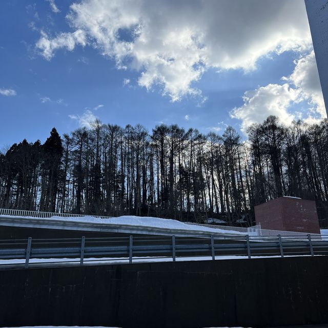 📷打卡美術館 🖼️必去睇奈良美智