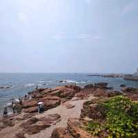 趕海季節小攻略: 小青島