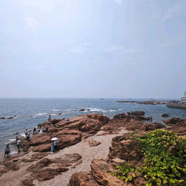 趕海季節小攻略: 小青島 趕海季節小攻略: 小青島