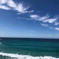amazing Sydney beach Australia 