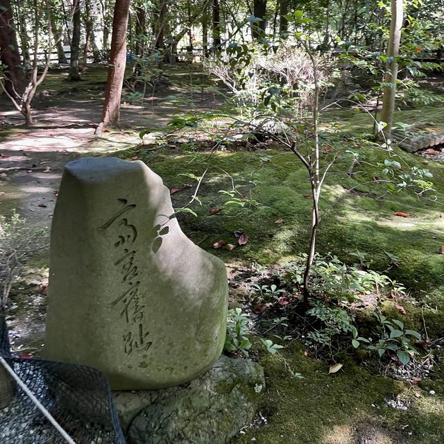 【京都府】美しい緑の絨毯、じゅうたん苔！