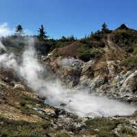 Akita nature hot spring hotel