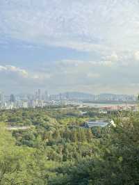 2023 하늘공원 억새축제 200% 제대로 즐기기 🌾
