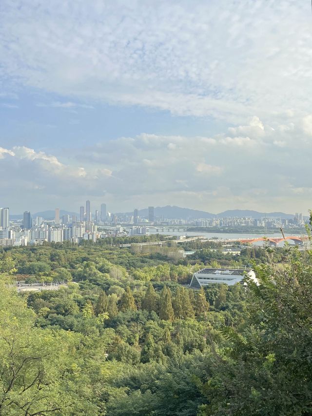 2023 하늘공원 억새축제 200% 제대로 즐기기 🌾