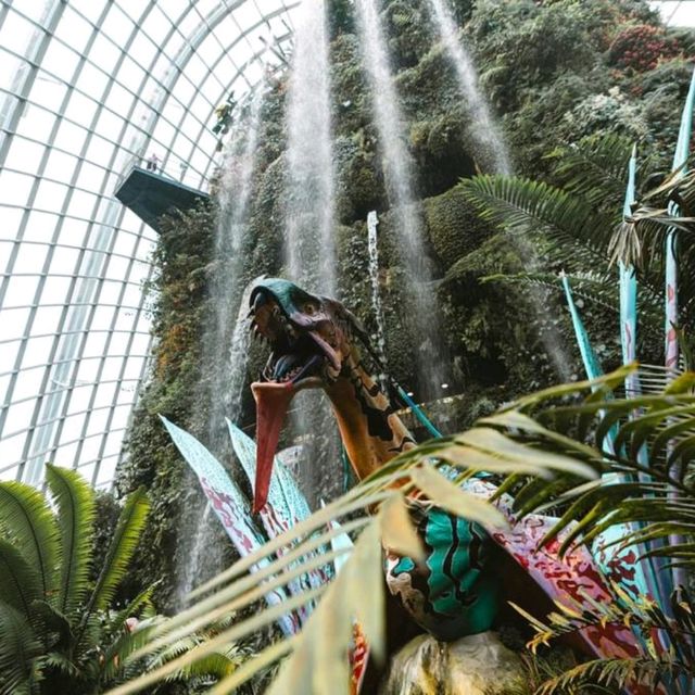 Cloud Forest 