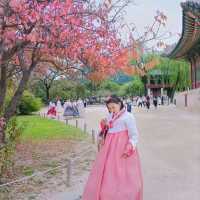 พระราชวังเคียงบก กับชุดฮันบก
