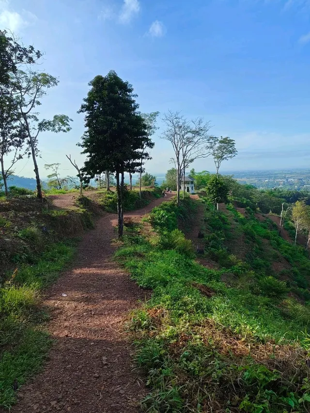 Bukit h 