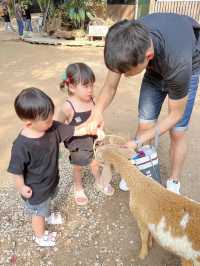 芭達雅景點 大象園  Pattaya evephant 泰國