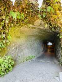 【神奈川県/銭洗弁財天宇賀福神社】鎌倉の銭洗と言えば！
