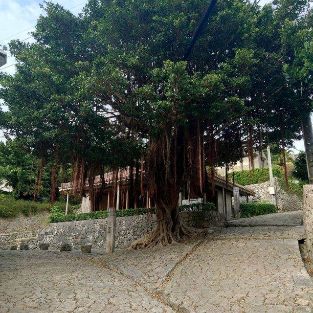 16世紀から残る風情ある石畳道！「金城町石畳道」