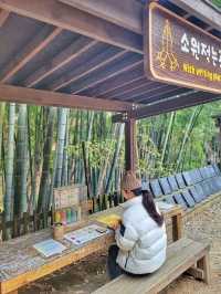 한적하게 거닐기 좋은 아름다운 홍룡사🍂