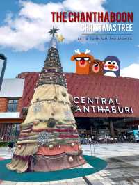 เปิดไฟต้นคริสต์มาสเสื่อจันทบูร ✨🎄
