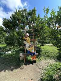 Jinju the orange farm chaingmai