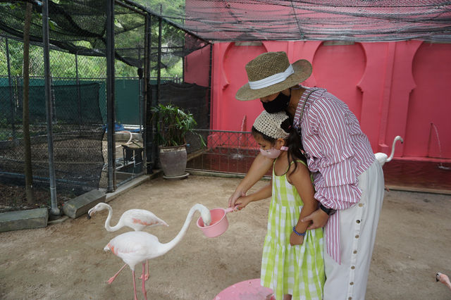 Camel Republic สวนอูฐ ชะอำ