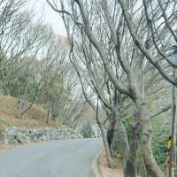 주민들의 운동장🚶‍♂️🚶‍♀️
